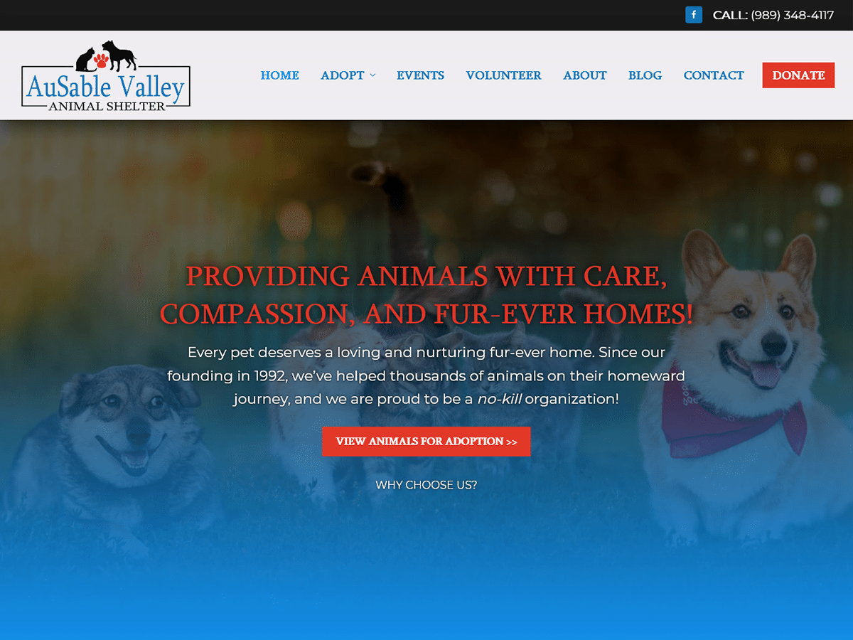 AuSable Valley Animal Shelter Launches New Website | AuSable Valley Animal  Shelter