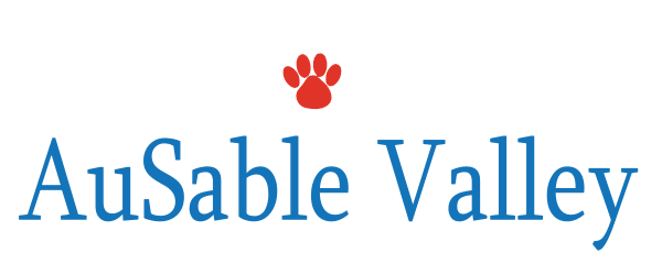 Adopt a Cat or Dog Grayling MI | AuSable Valley Animal Shelter